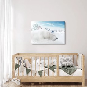 Obraz - Ľadový medveď (90x60 cm)