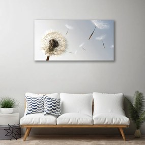 Obraz Canvas Púpava kvety príroda 120x60 cm