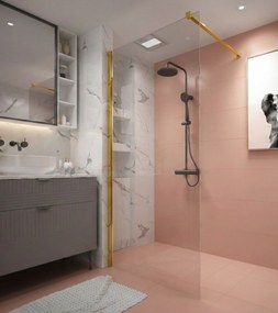 Erga Paris, sprchová zástena Walk-In 70x200 cm, 8mm číre sklo, zlatý lesklý profil, ERG-V02-PARIS-070x200-CL-GD