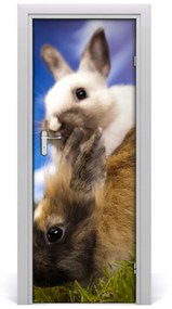 Samolepiace fototapety na dvere dva králiky 75x205 cm