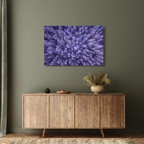 Obraz zasnežených stromov (90x60 cm)