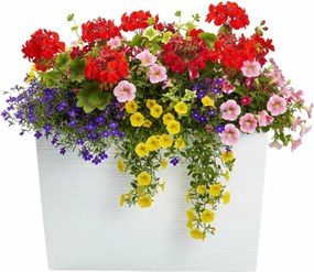 PLASTOVÝ KVETINÁČ BLOOM RIFLO 36X56X20 CM BIELA