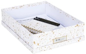 Úložná škatuľa v zlato-bielej farbe Bigso Box of Sweden Oskar
