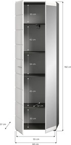 Predsieňová skriňa so zrkadlom Salsa, šedý dub/biely lesk