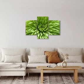 Obraz - Makro snímka rastliny (90x60 cm)