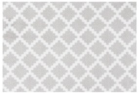 Svetlosivá rohožka Zala Living Elegance, 50 × 70 cm