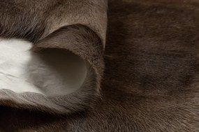 Koberec RENIFER POK010 hnedý