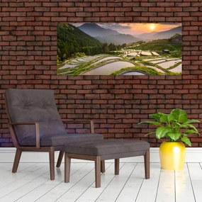 Obraz - Ryžové terasy (120x50 cm)