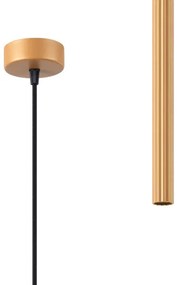 Sollux SL.1339 - Luster na lanku ARCHE 1xG9/8W/230V zlatá
