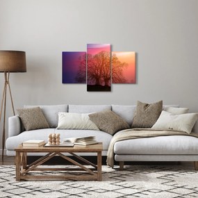 Obraz stromov v hmle (90x60 cm)