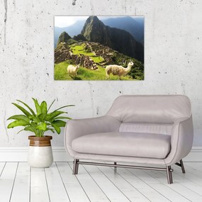 Sklenený obraz - Machu Picchu (70x50 cm)