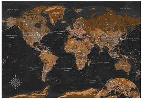 Fototapeta - World: Stylish Map Veľkosť: 350x245, Verzia: Premium