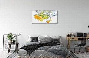 Obraz canvas voda citrus 125x50 cm