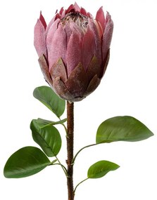 Fialová umelá dekorácia kvetina Protea - 10*10*65 cm