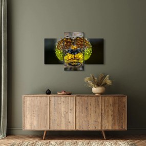 Detailný obraz očí hmyzu (90x60 cm)