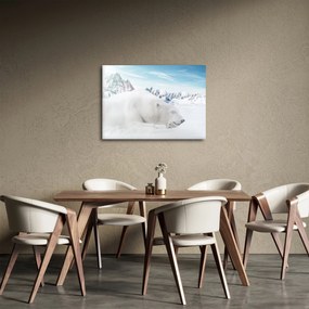 Obraz - Ľadový medveď (70x50 cm)