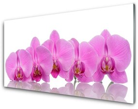 Skleneny obraz Ružová orchidea kvety 120x60 cm