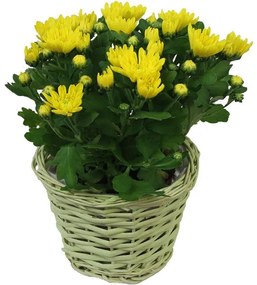 Kvetináč, žltý dia 21 cm P0020-02
