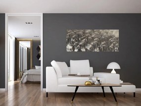 Obraz - Stádo pakoňov (120x50 cm)