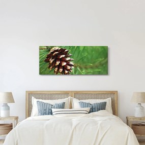 Obraz šišky (120x50 cm)