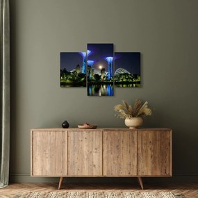 Obraz splnu v Singapurských záhradách (90x60 cm)