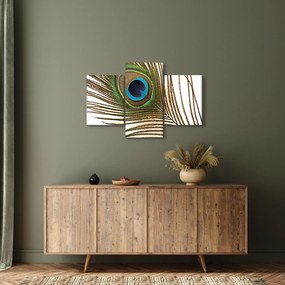 Obraz pávieho peria (90x60 cm)