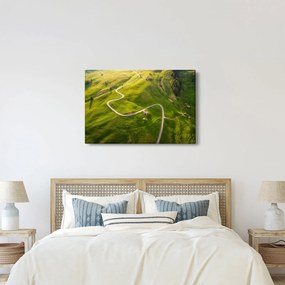 Obraz - Náhorná lúka (90x60 cm)