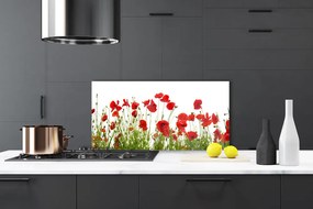 Sklenený obklad Do kuchyne Maky kvety príroda 140x70 cm