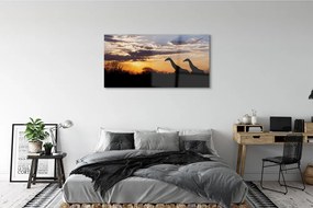 Obraz plexi Žirafy strom mraky 125x50 cm