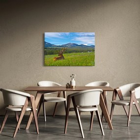 Obraz - Jeleň v lúke (90x60 cm)