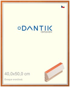DANTIK rám na obraz 40x50 | EVOQUE oranžová (Sklo Čiré)