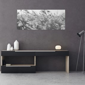 Obraz - Tráva vo vetre (120x50 cm)