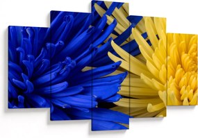 Obraz - detail kvetov (150x105 cm)
