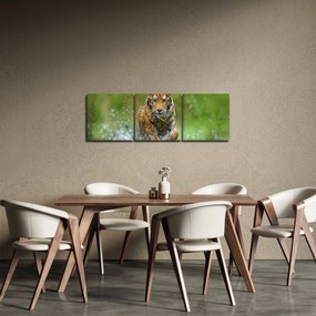 Obraz - Bežiaci tiger (s hodinami) (90x30 cm)