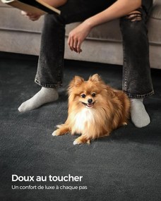 Koberec, 160 x 230 cm, protišmykový, možno prať v práčke, antracitovo sivý