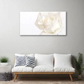 Skleneny obraz Ruže kvety 125x50 cm
