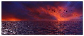 Obraz mora s vtákmi (120x50 cm)
