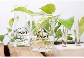 Sklenená váza (výška 12 cm) Natural History – Esschert Design