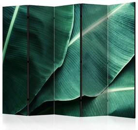 Artgeist Paraván - Banana Leaf II [Room Dividers]