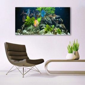 Obraz plexi Ryba kamene listy príroda 120x60 cm