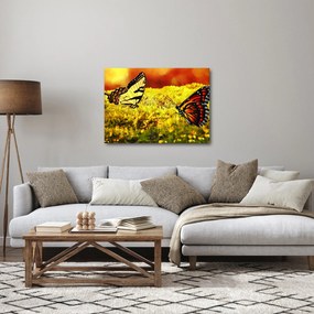 Obraz motýľov (70x50 cm)