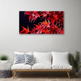 Obraz Canvas Listy príroda rastlina 120x60 cm