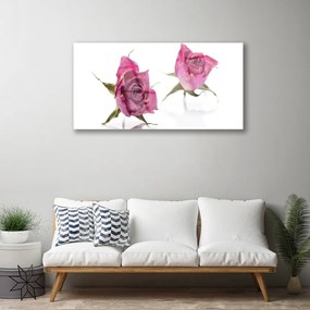 Skleneny obraz Ruže kvety rastlina 125x50 cm