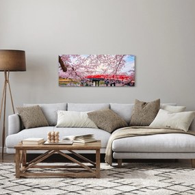 Obraz - Hirosaki, Japonsko (120x50 cm)