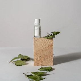 Vôňa do sauny breza 10ml
