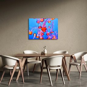 Obraz medúz v mori (70x50 cm)