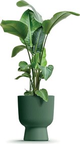 Kvetináč MILLA IV - výber z 6 prevedení