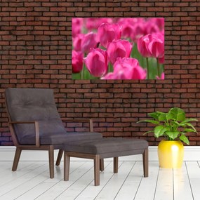 Obraz - Ružové tulipány (90x60 cm)