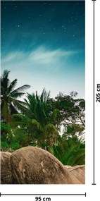 Fototapeta na dvere - Palmy (95x205cm)