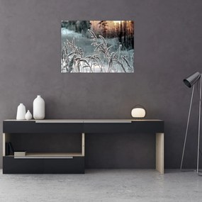 Obraz - Zamrznutá lúka (70x50 cm)